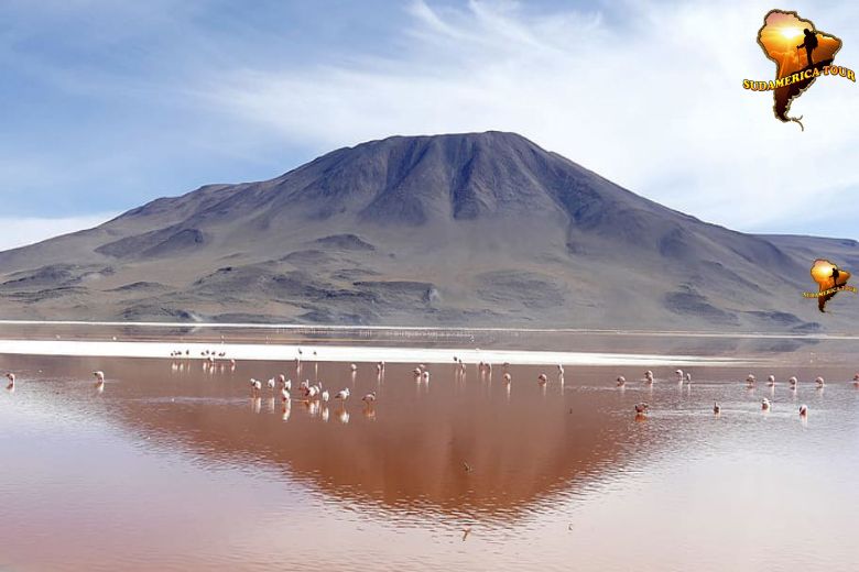 Travel Bolivia Chile Nature