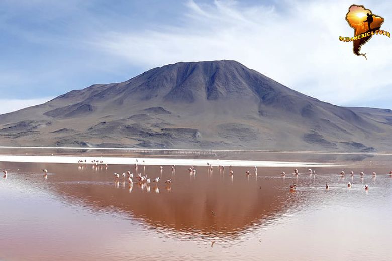 Viajes Bolivia Chile Naturaleza
