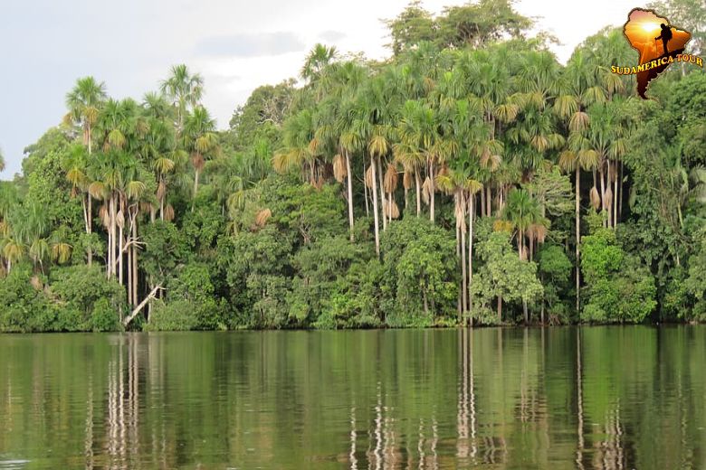 Viajes Perú Amazonas best seller