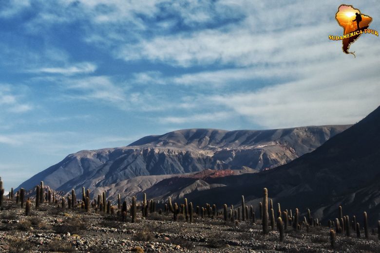 Argentinien Patagonien 10 Tage